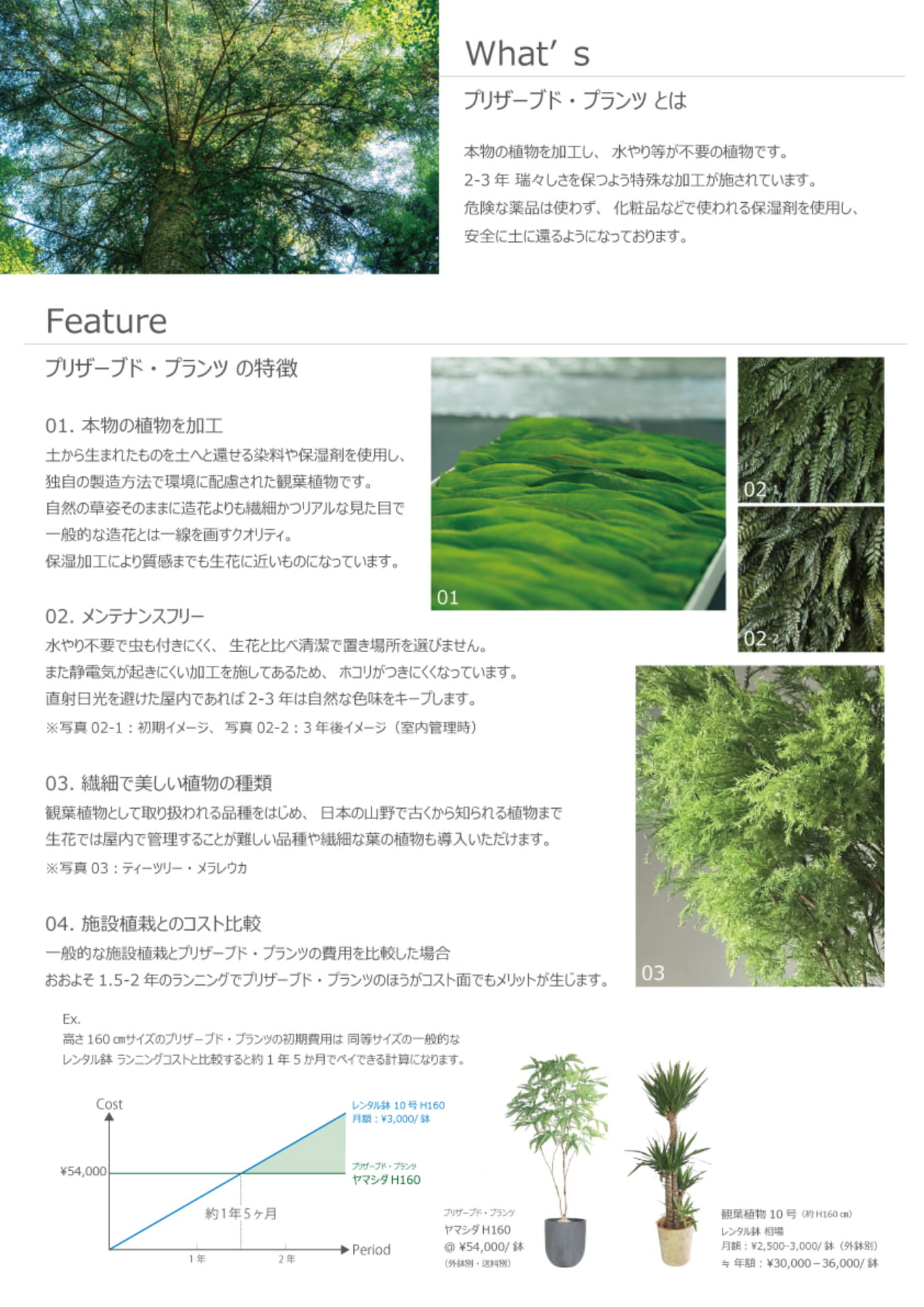 ページ（2ページ目）
