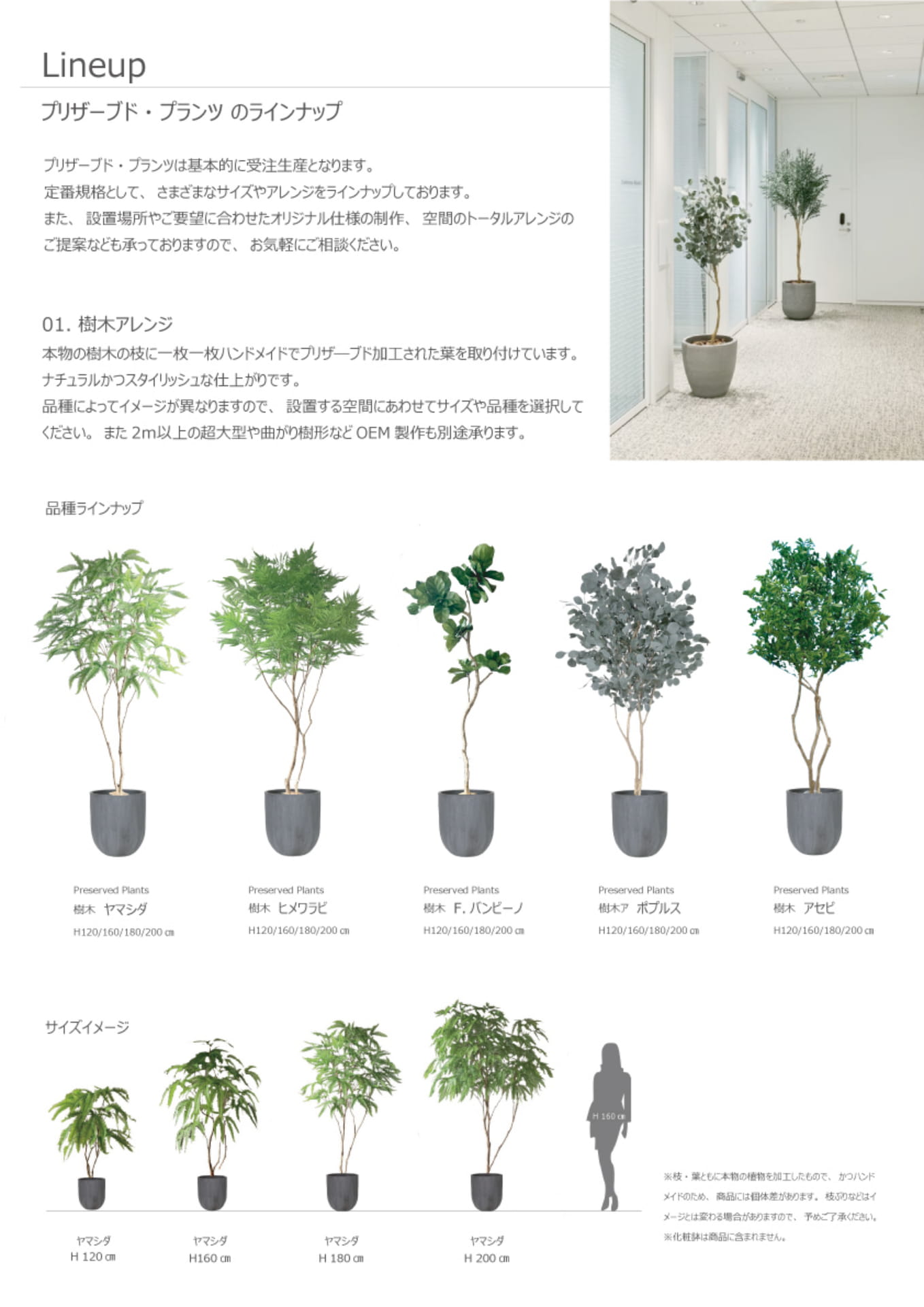 ページ（6ページ目）
