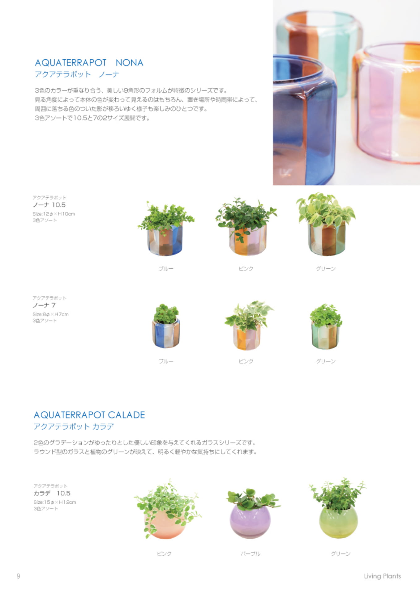 ページ（10ページ目）