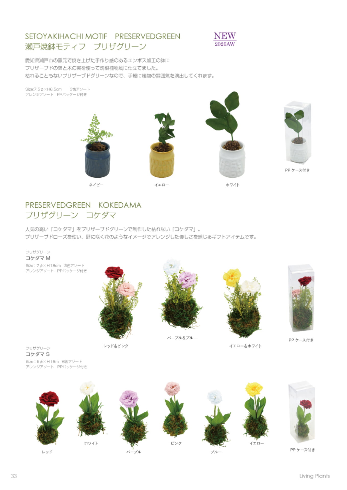 ページ（34ページ目）