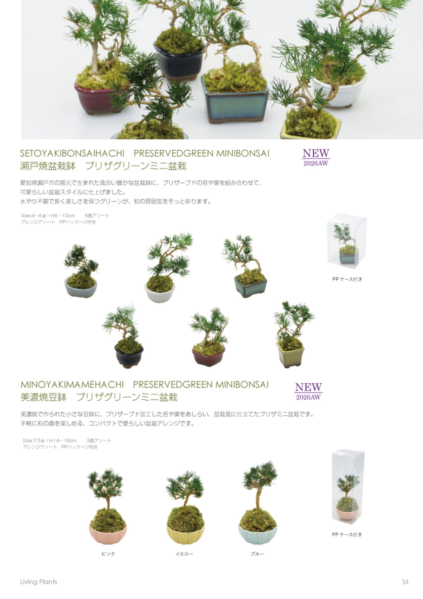 ページ（35ページ目）