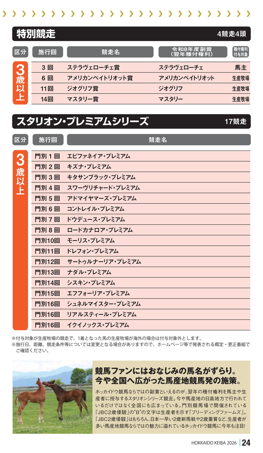 Page 25（25ページ目）