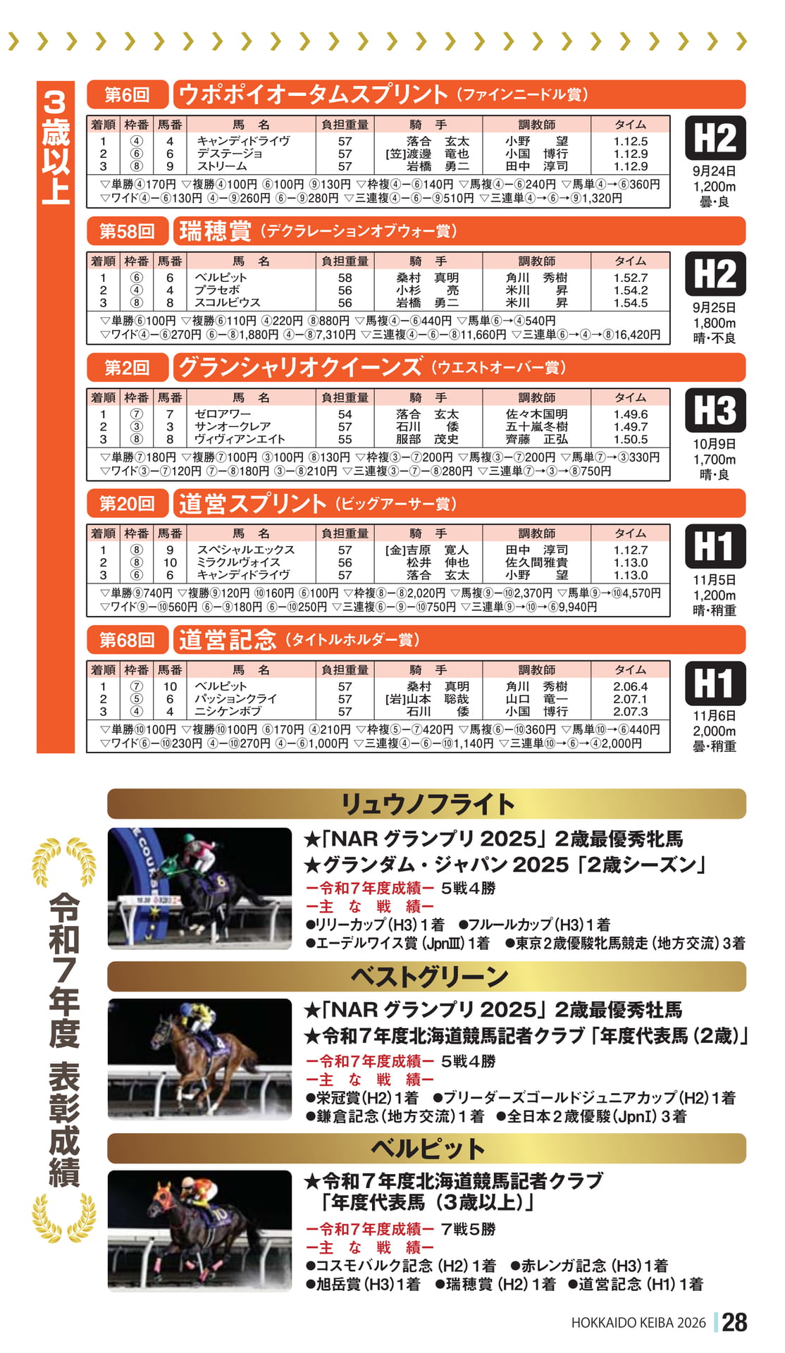 Page 29（29ページ目）