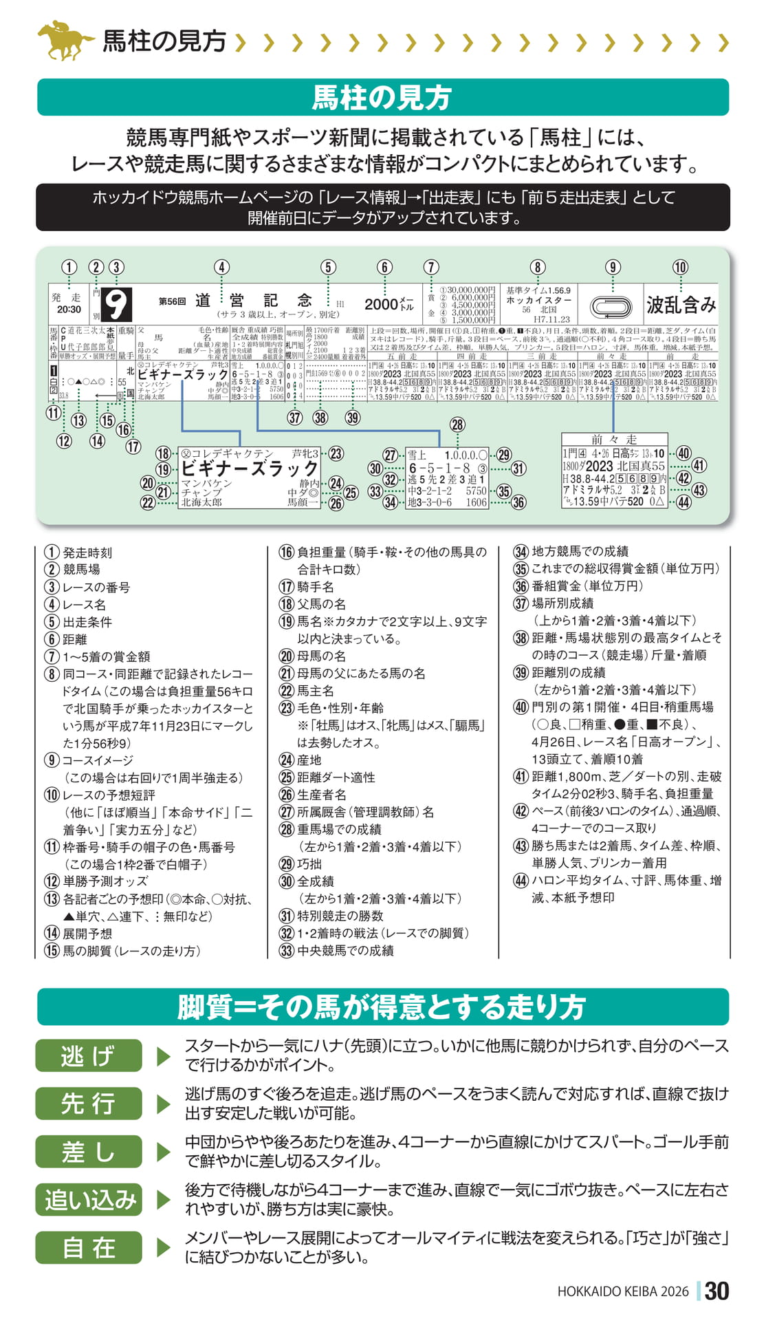 Page 31（31ページ目）