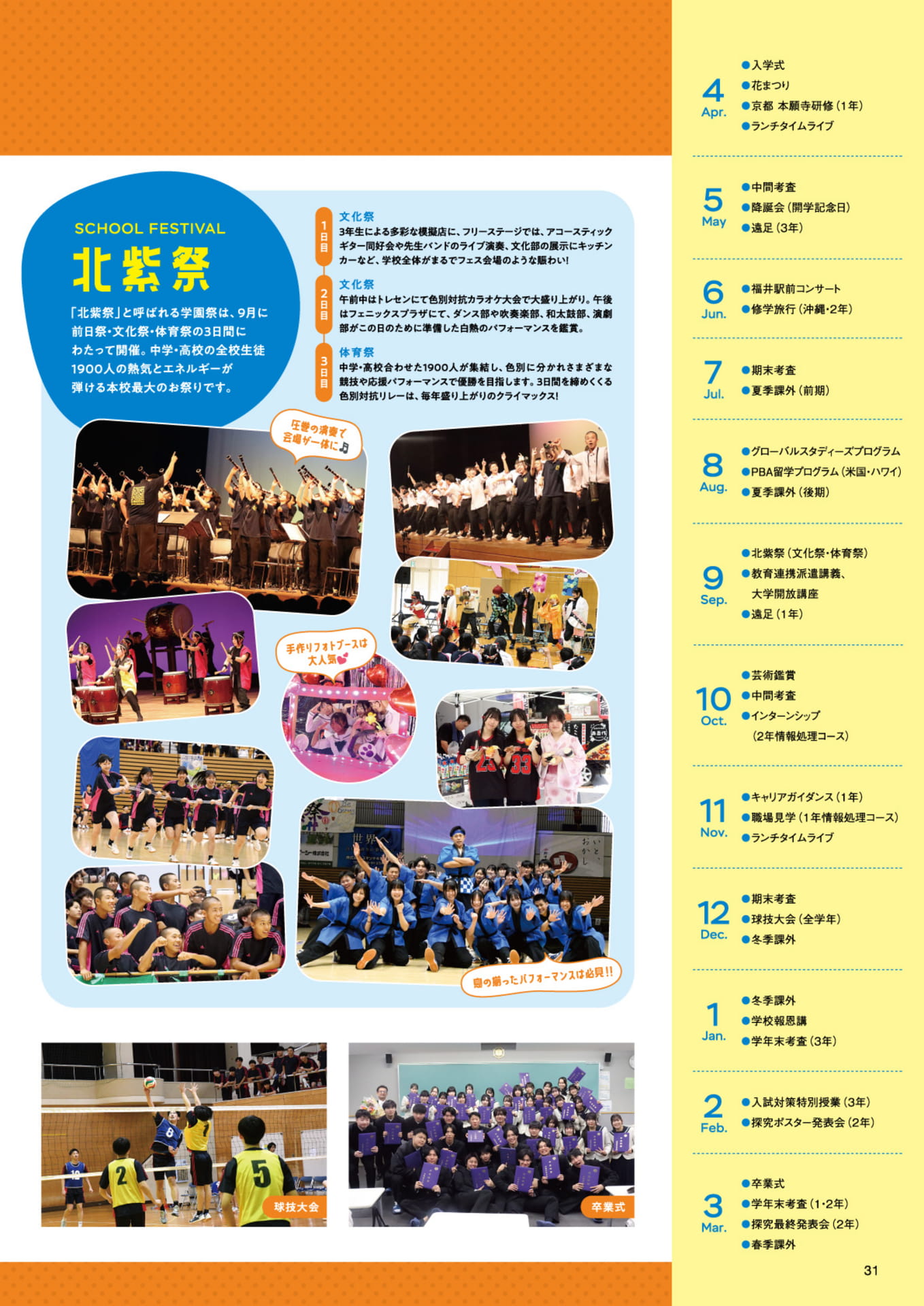 Page 31（31ページ目）