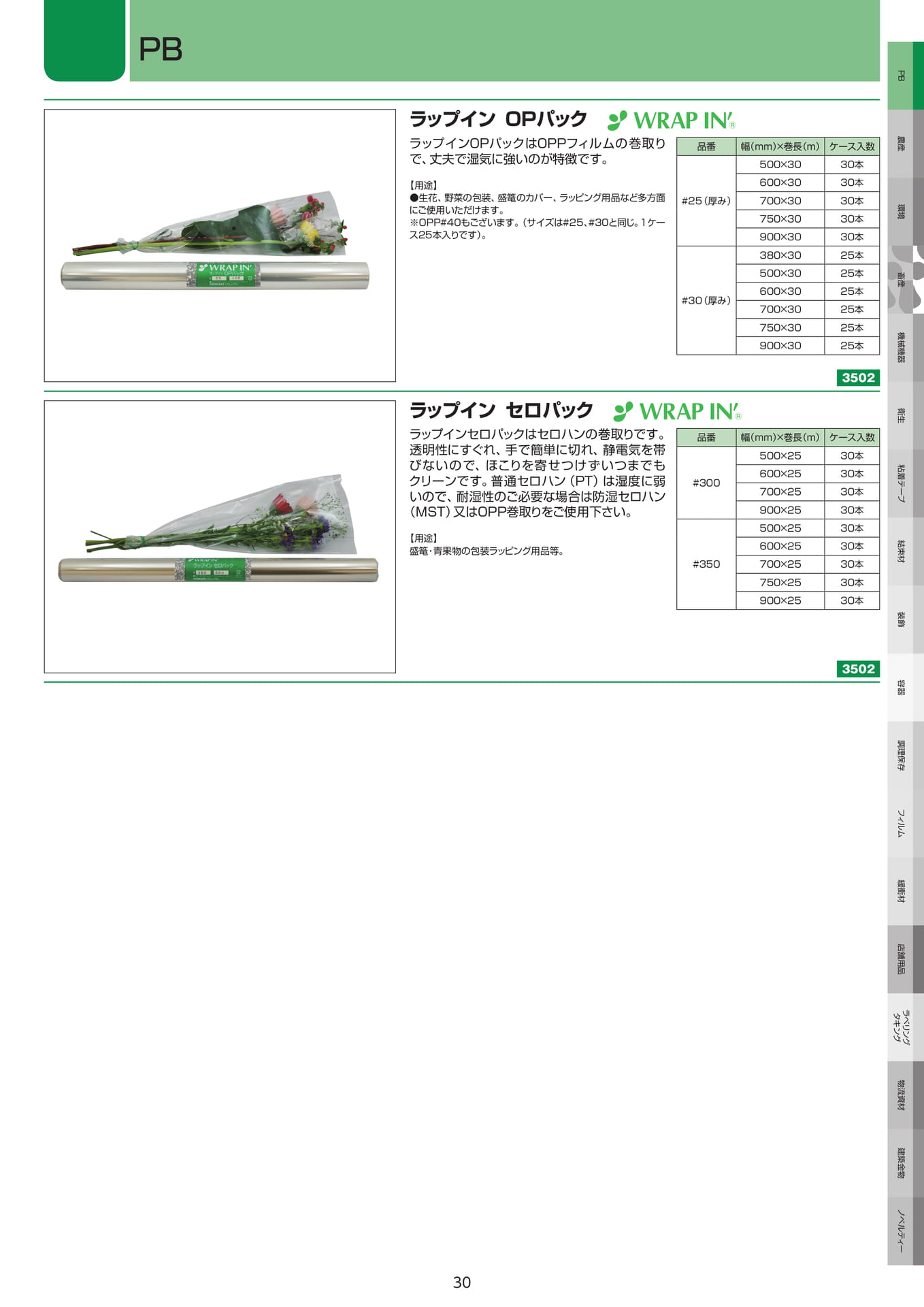 Page 31（31ページ目）