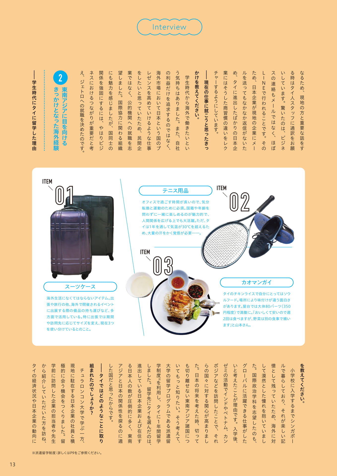 Page 13（13ページ目）