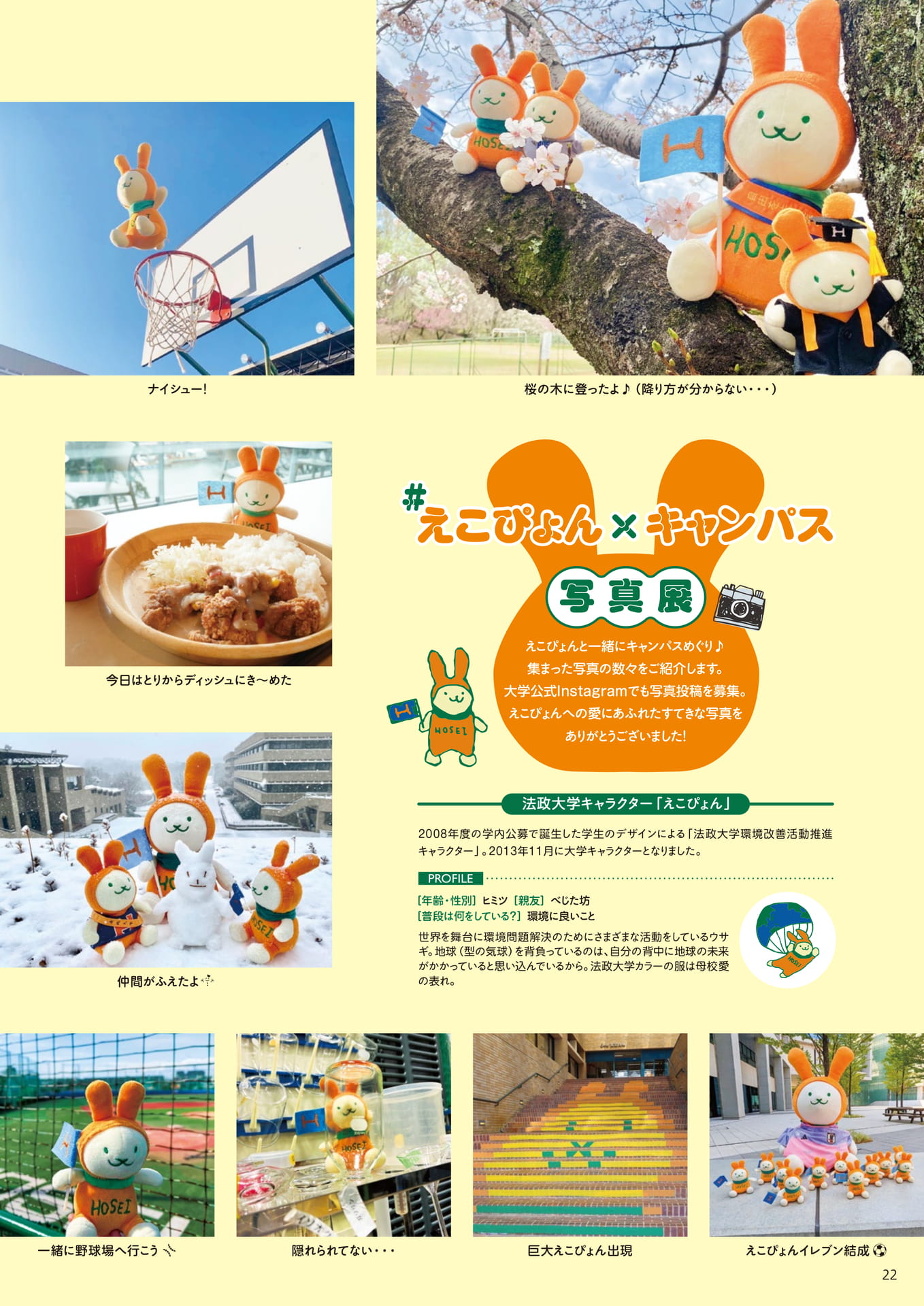 Page 22(22ページ目)