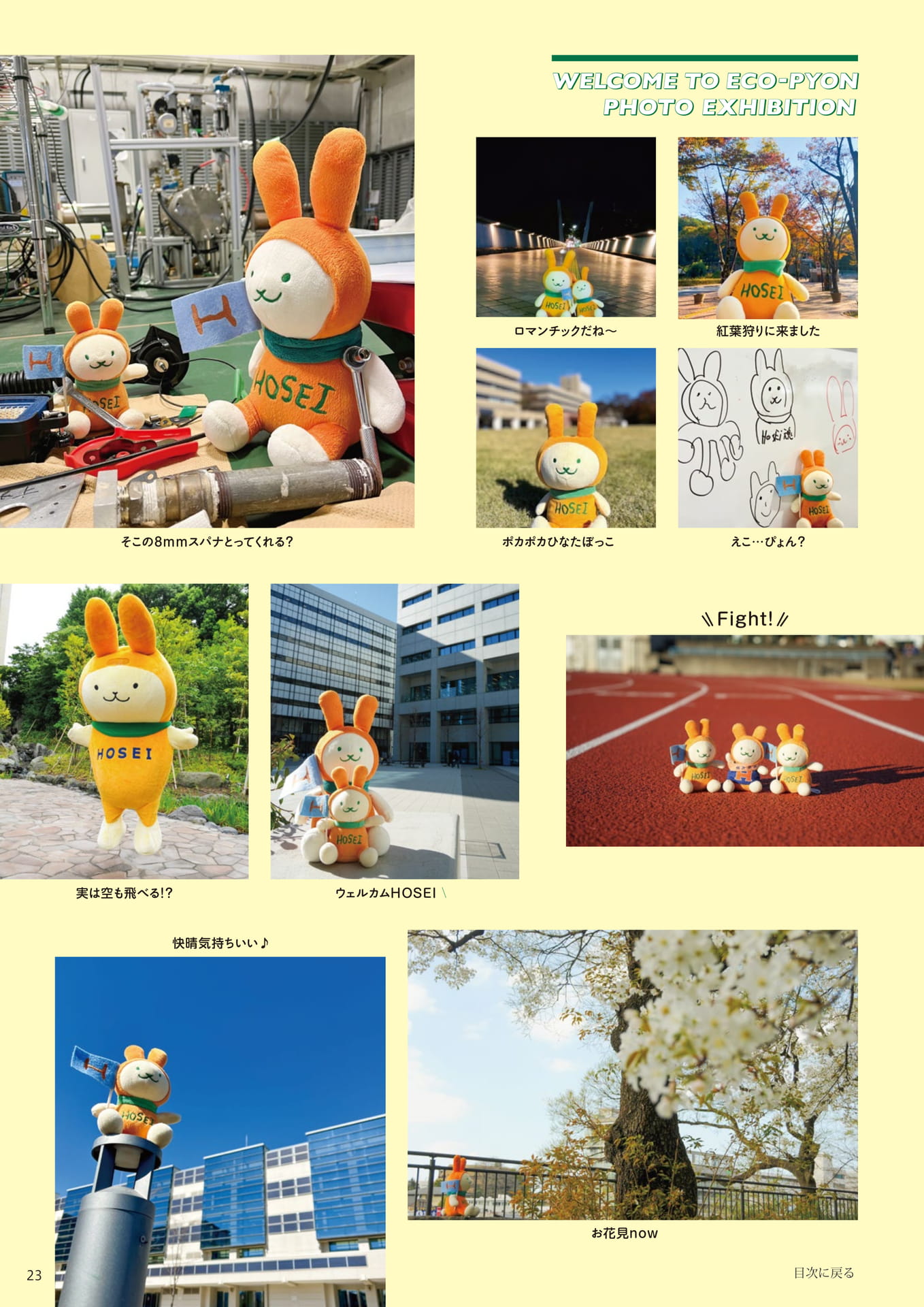Page 23(23ページ目)