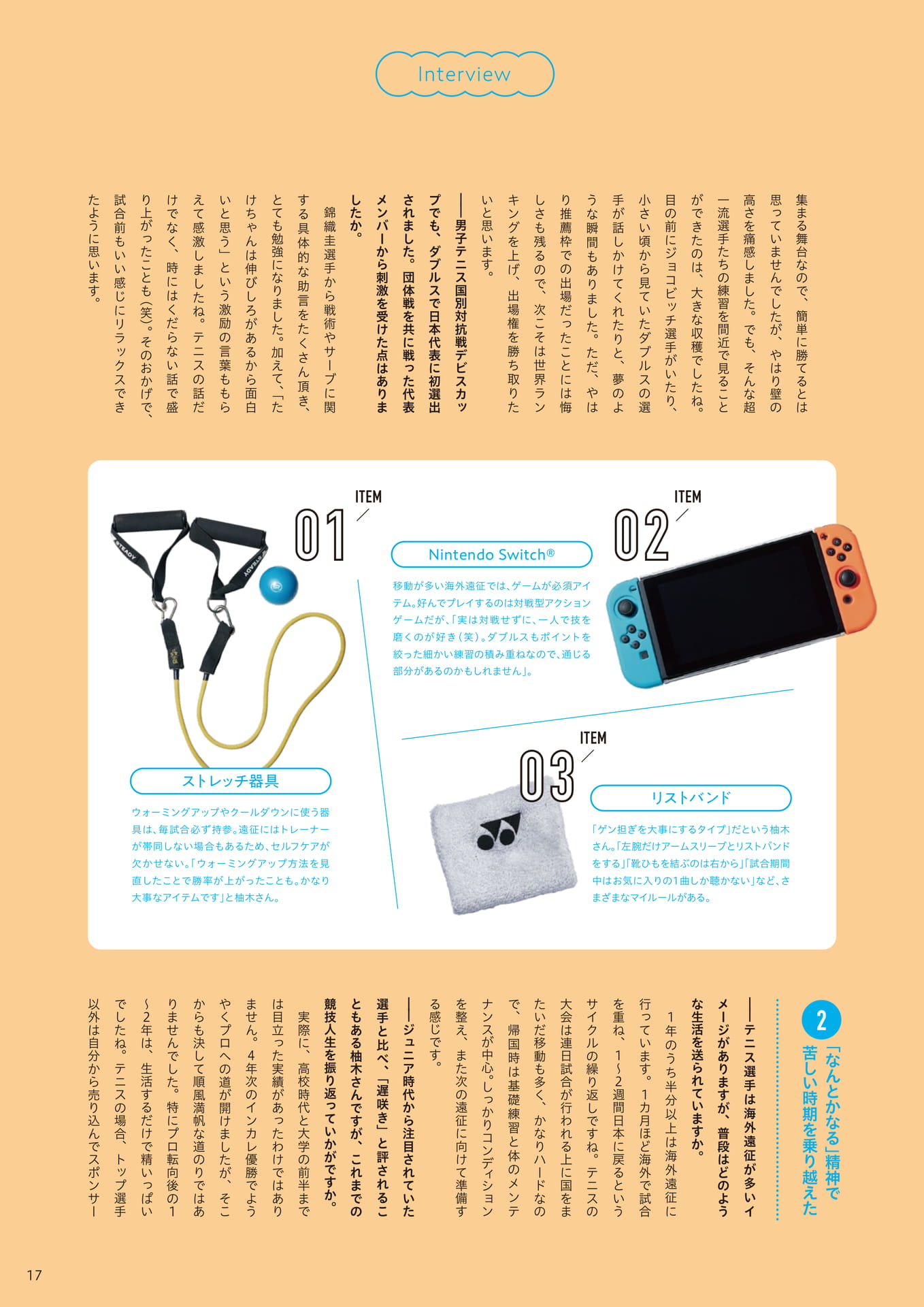 Page 17（17ページ目）