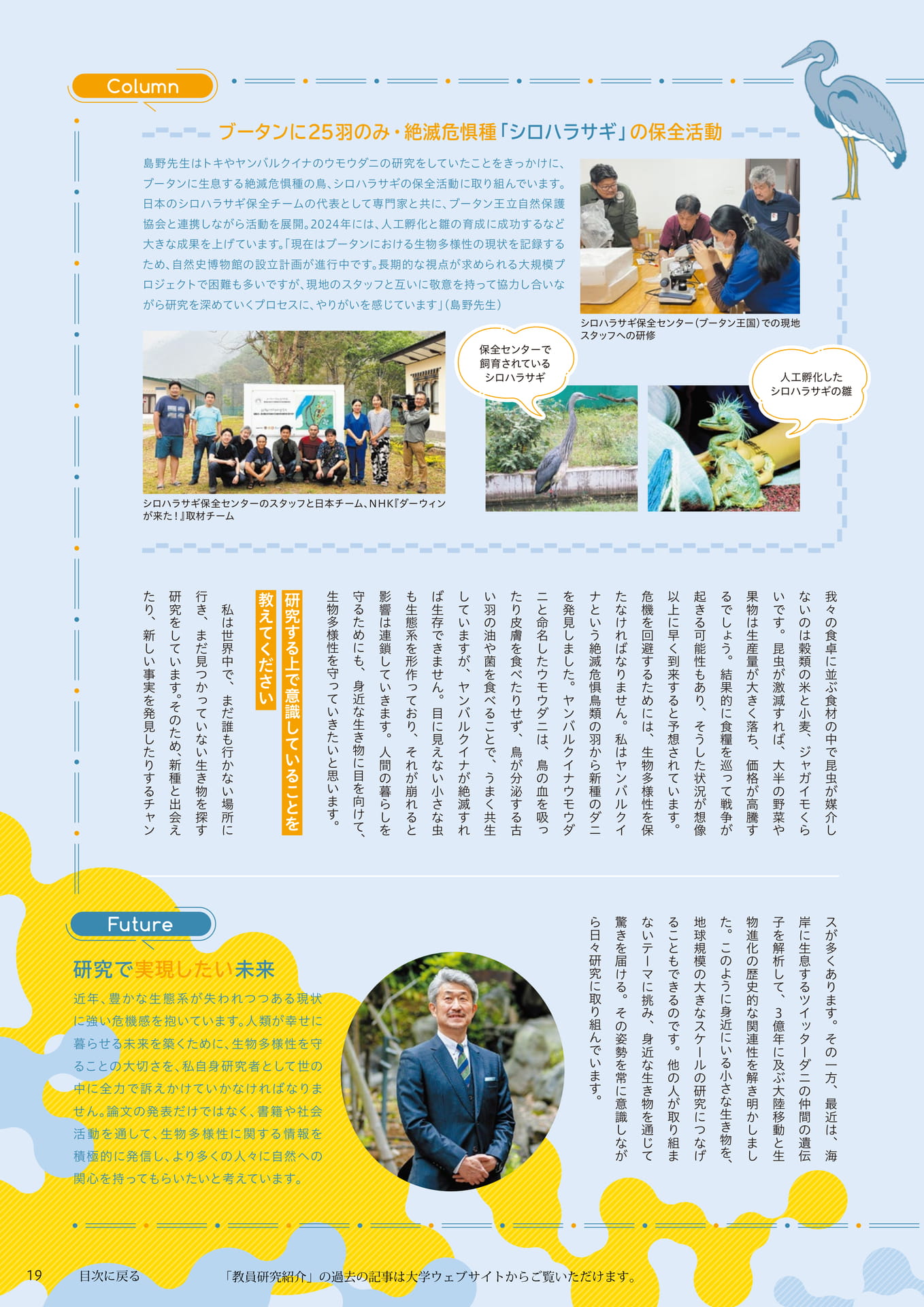 Page 19(19ページ目)