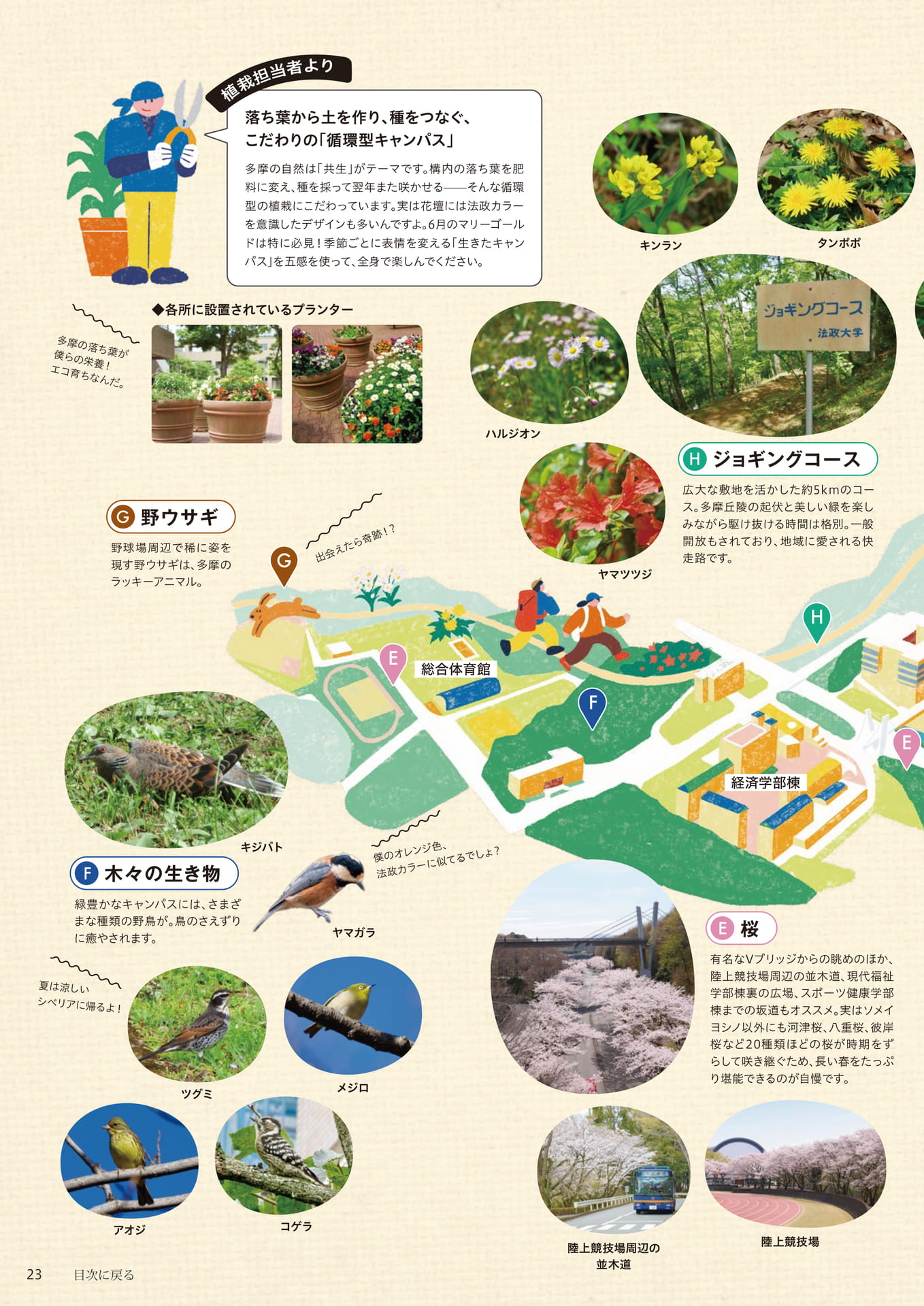 Page 23（23ページ目）