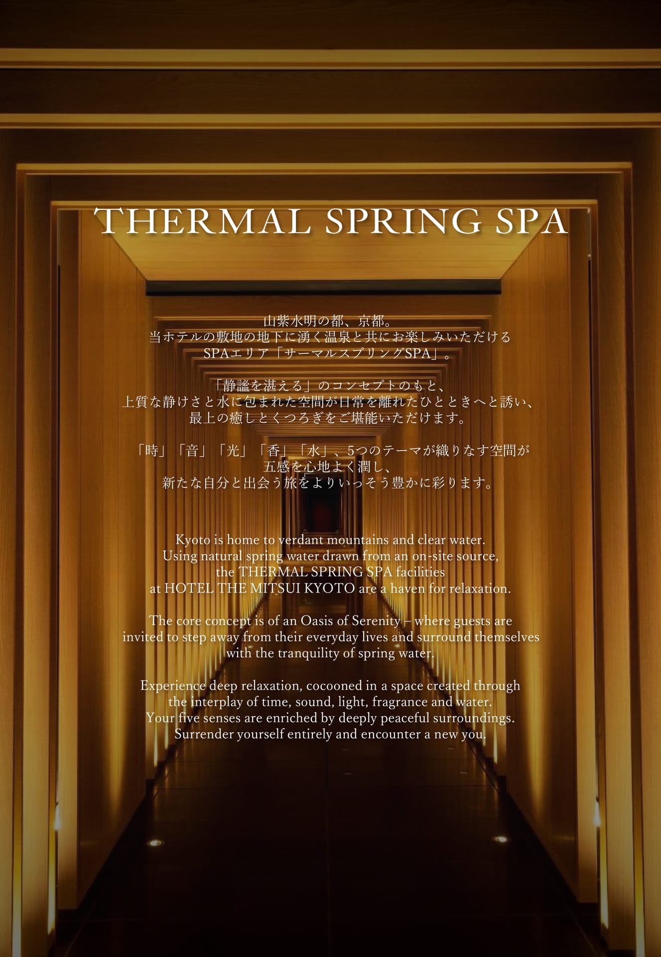サーマルスプリング SPA(2ページ目)