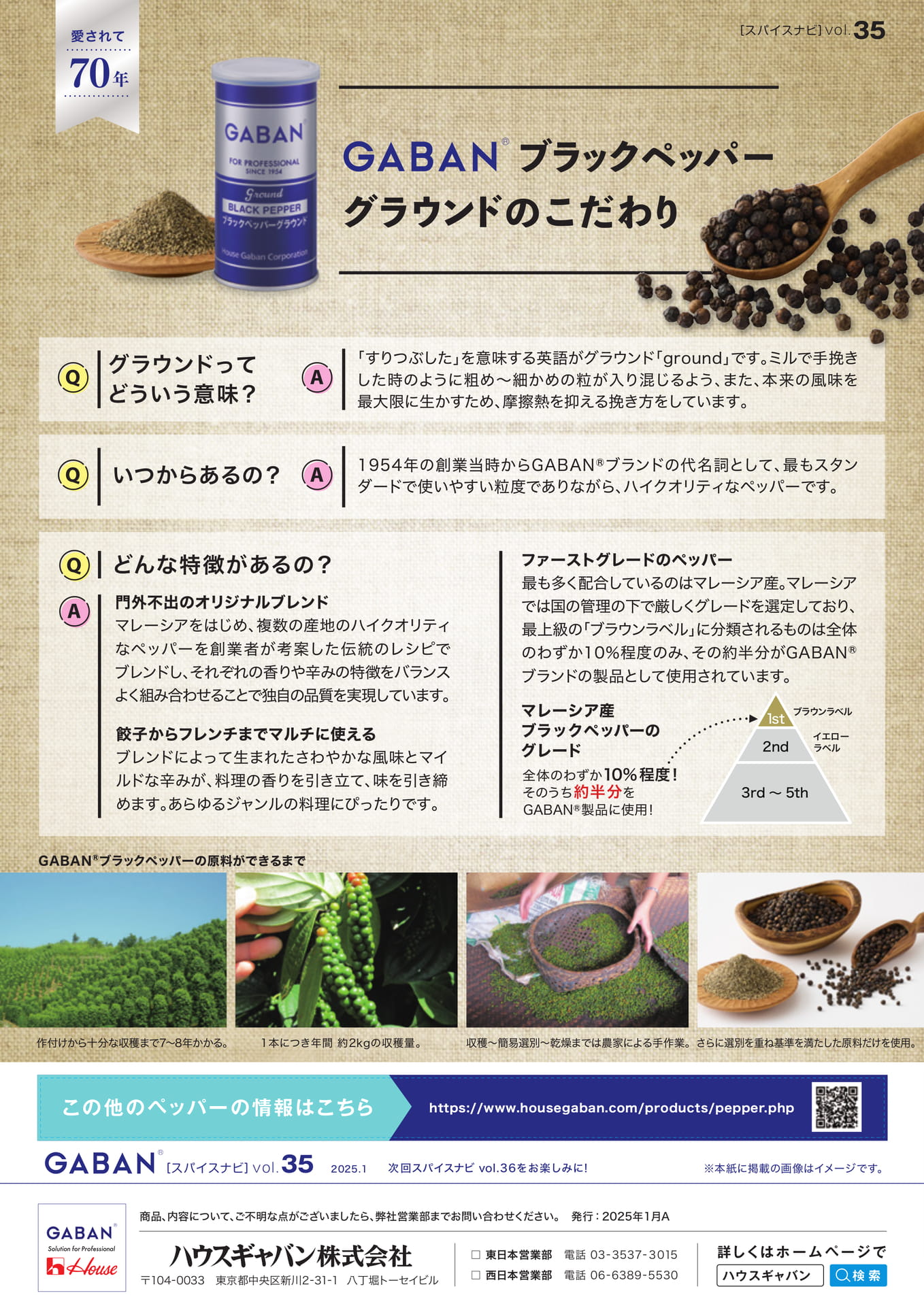 Page 4(4ページ目)