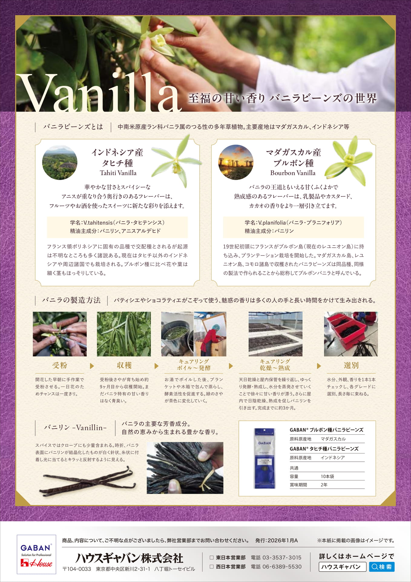 Page 4（4ページ目）