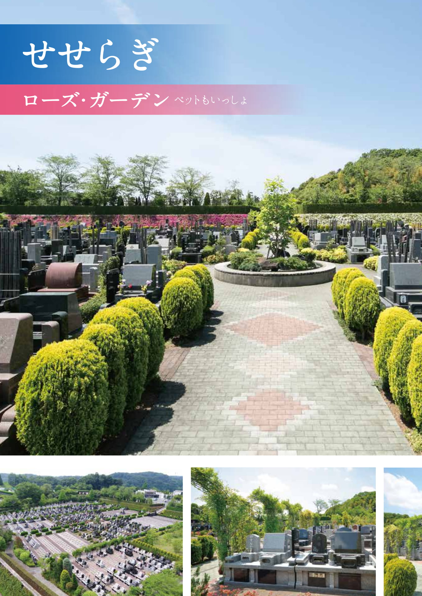 Page 12（12ページ目）