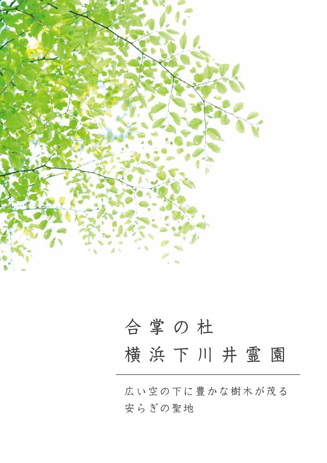 Page 01(1ページ目)