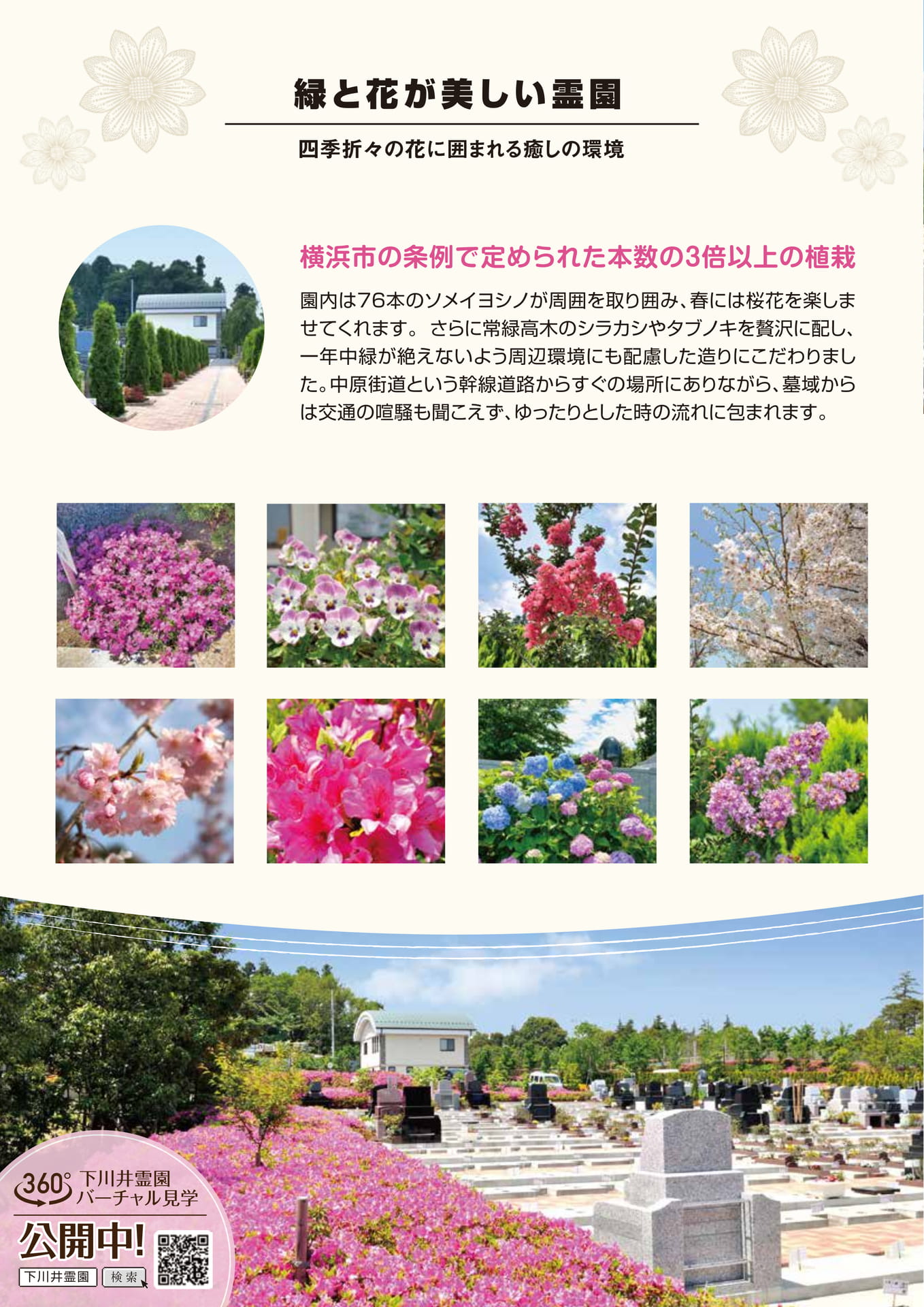 Page 10(10ページ目)