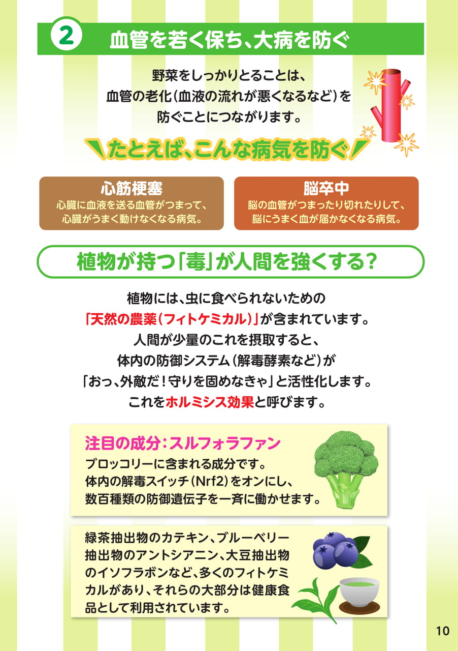 Page 11(11ページ目)