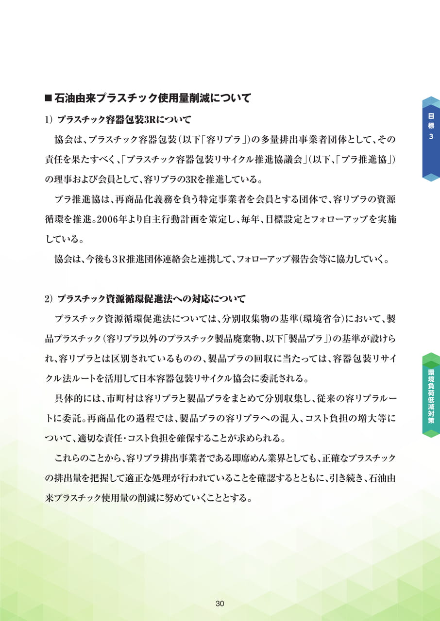 Page 31（31ページ目）