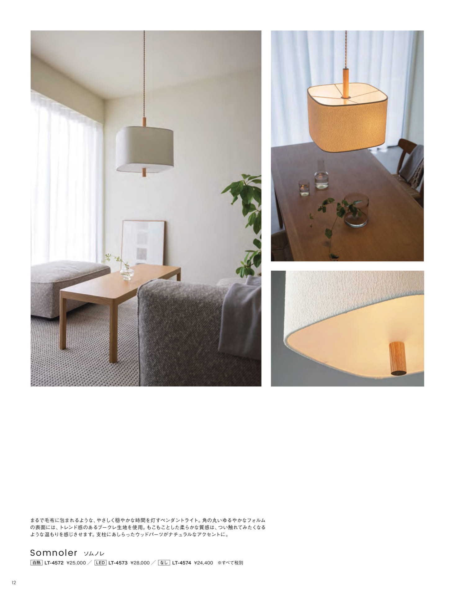 Page 12（12ページ目）
