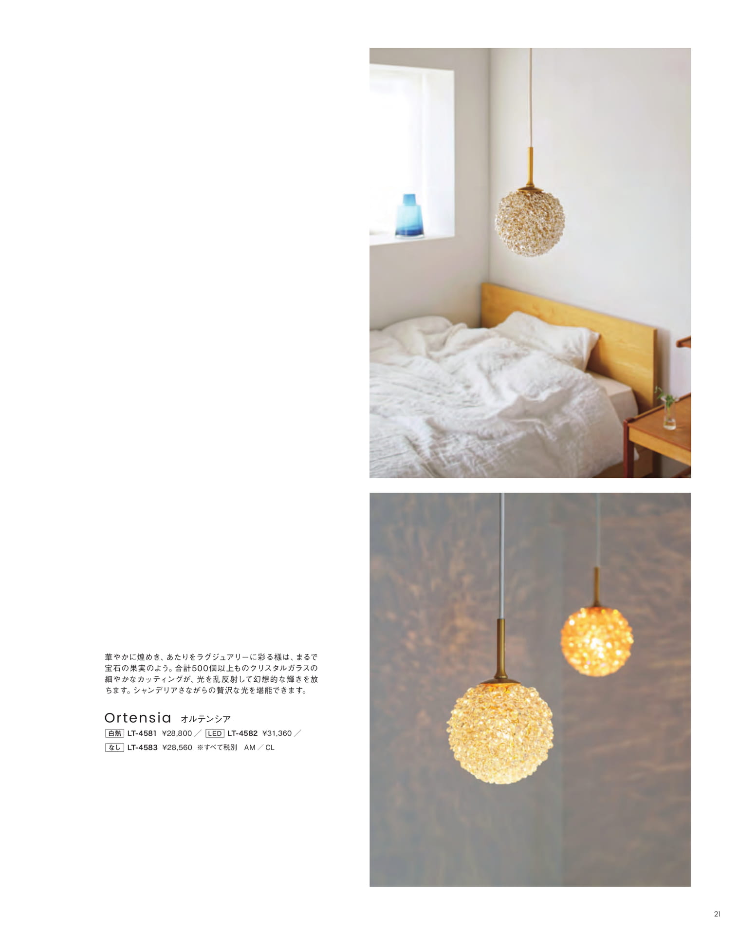 Page 21（21ページ目）