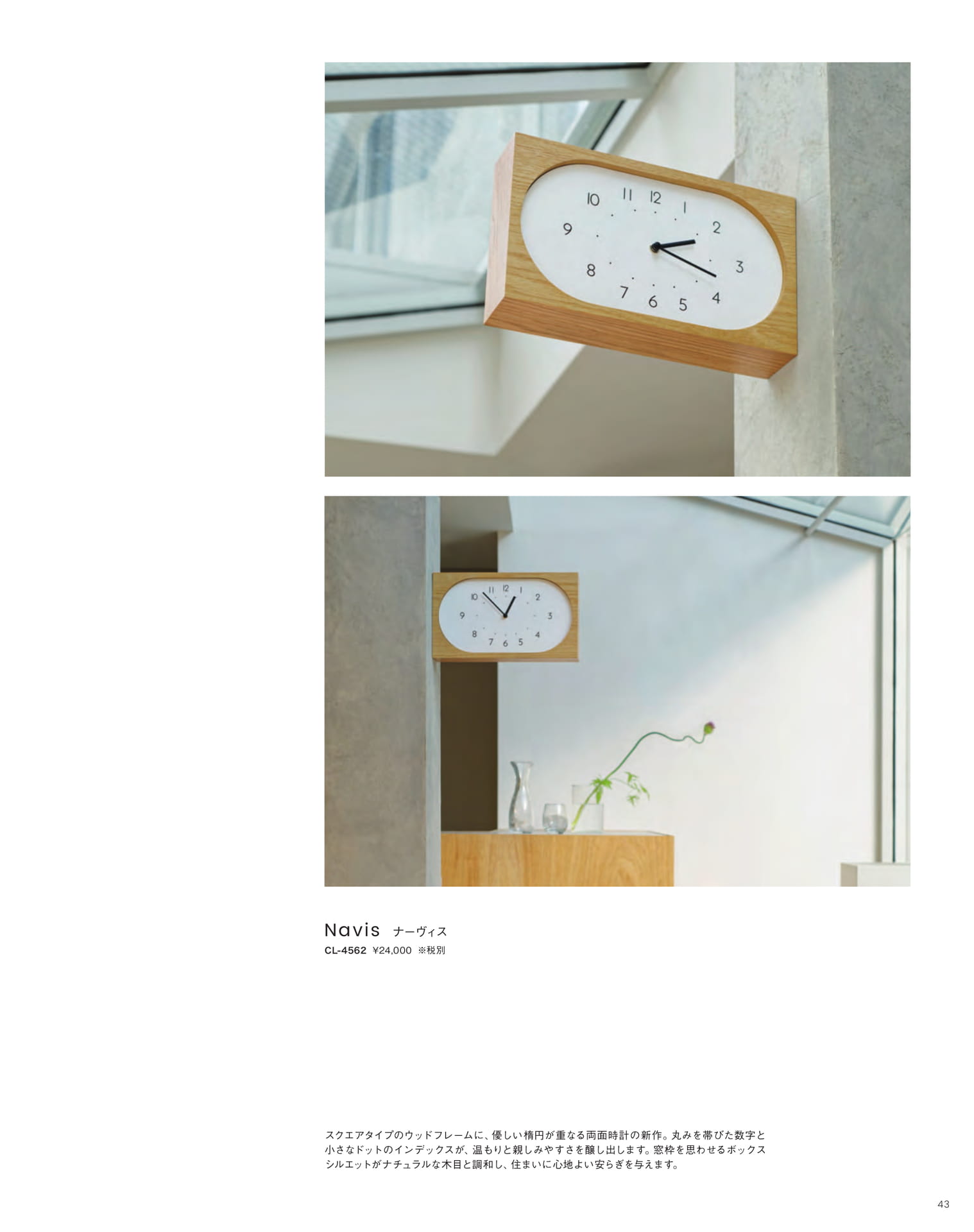 Page 43（43ページ目）