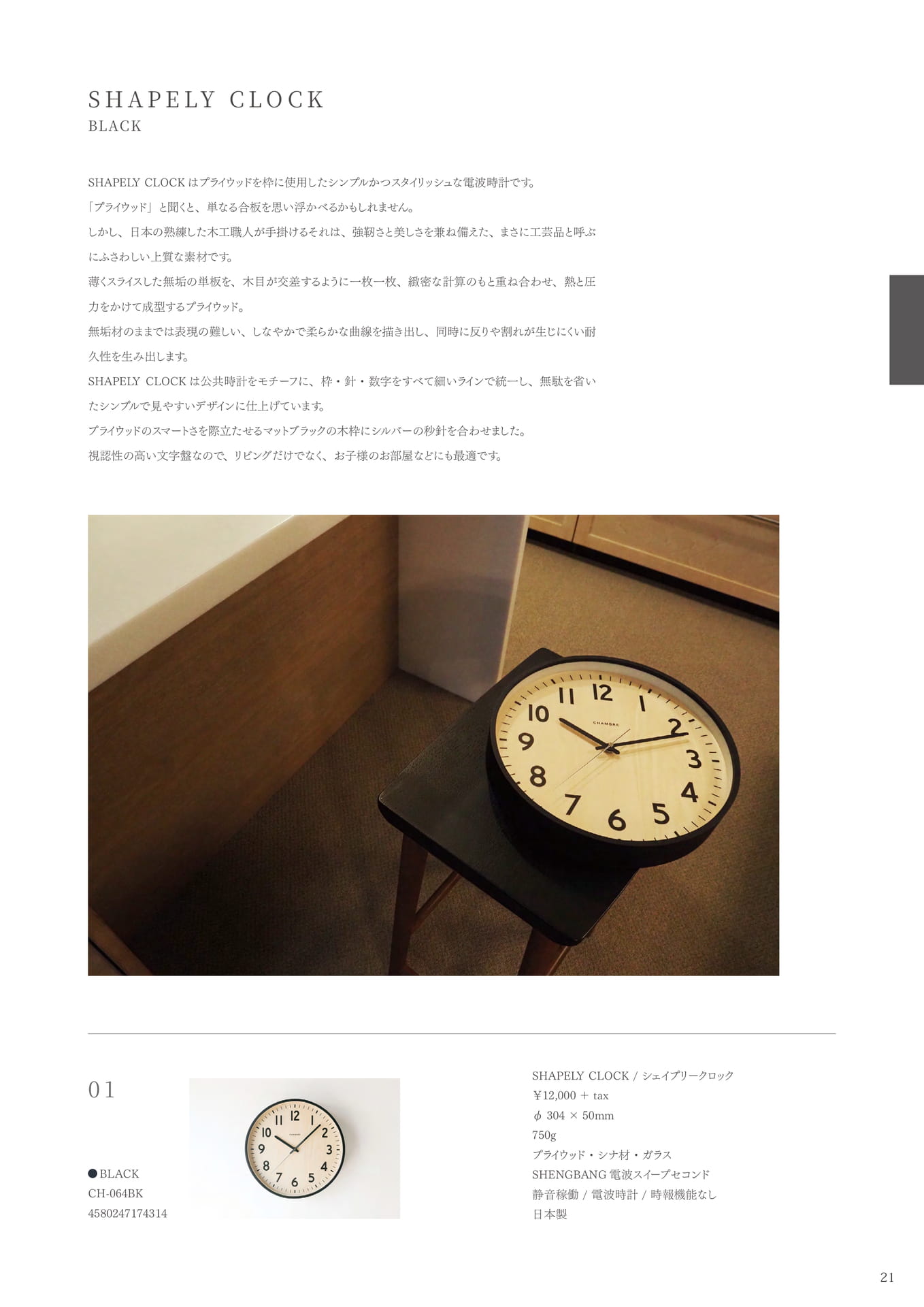 Page 21（21ページ目）