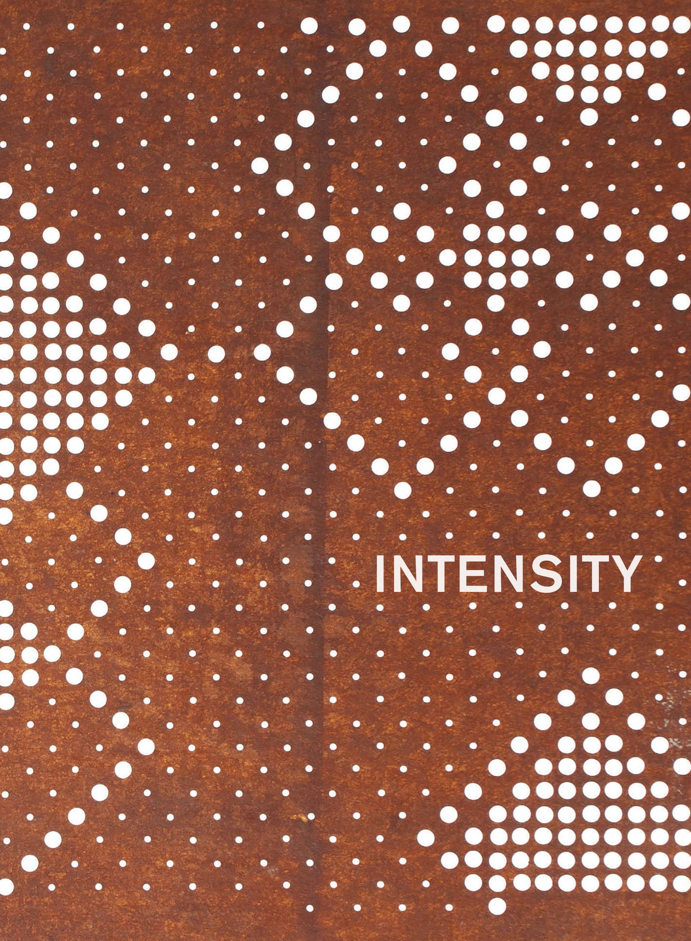 INTENSITY（25ページ目）