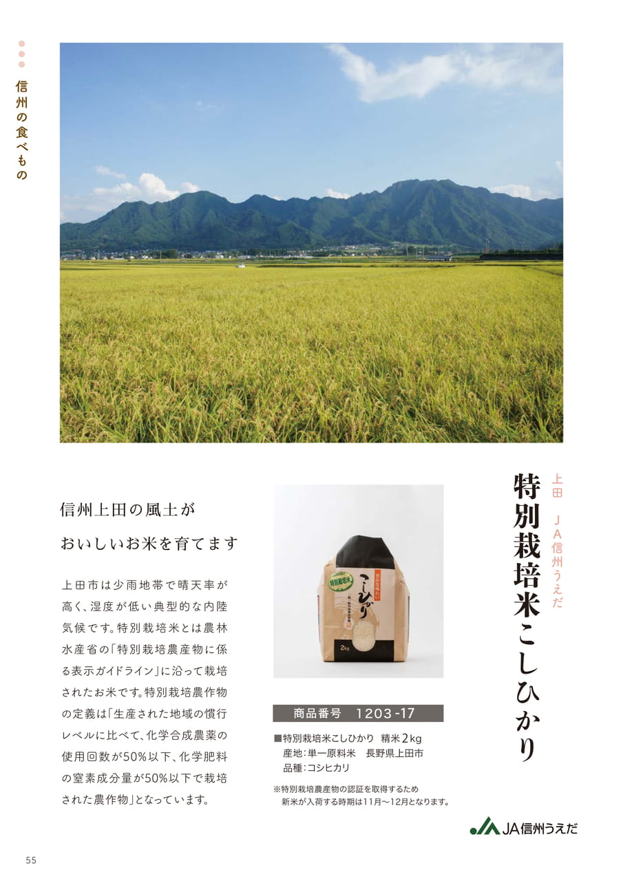Page 55（55ページ目）