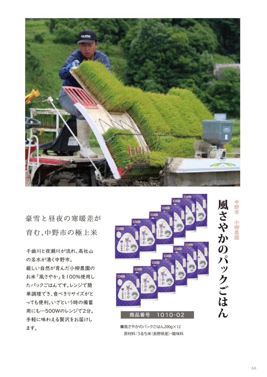 Page 66（66ページ目）