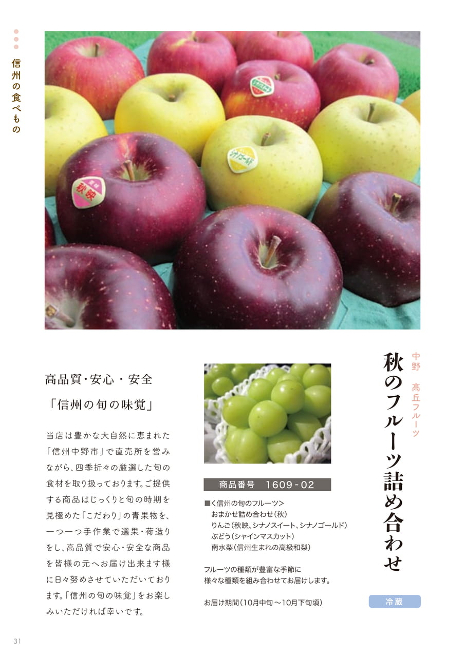 Page 31（31ページ目）