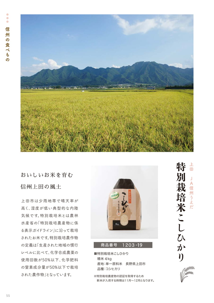 Page 55（55ページ目）