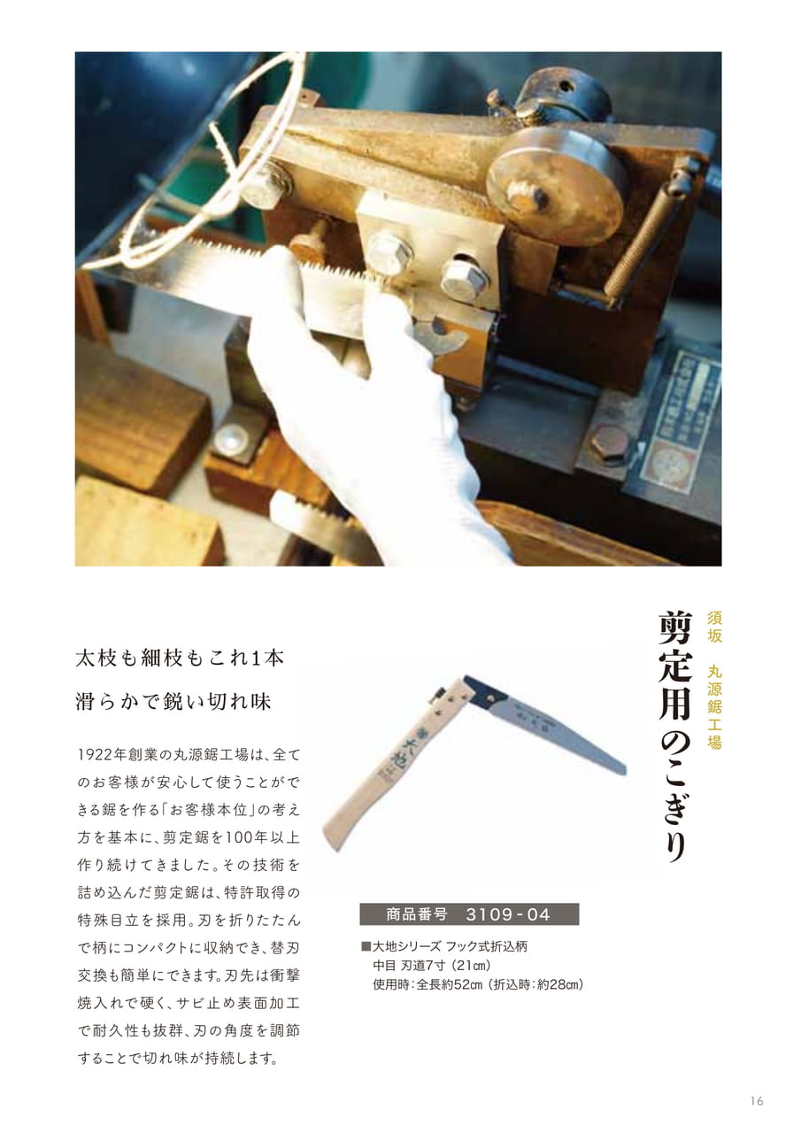 Page 16（16ページ目）
