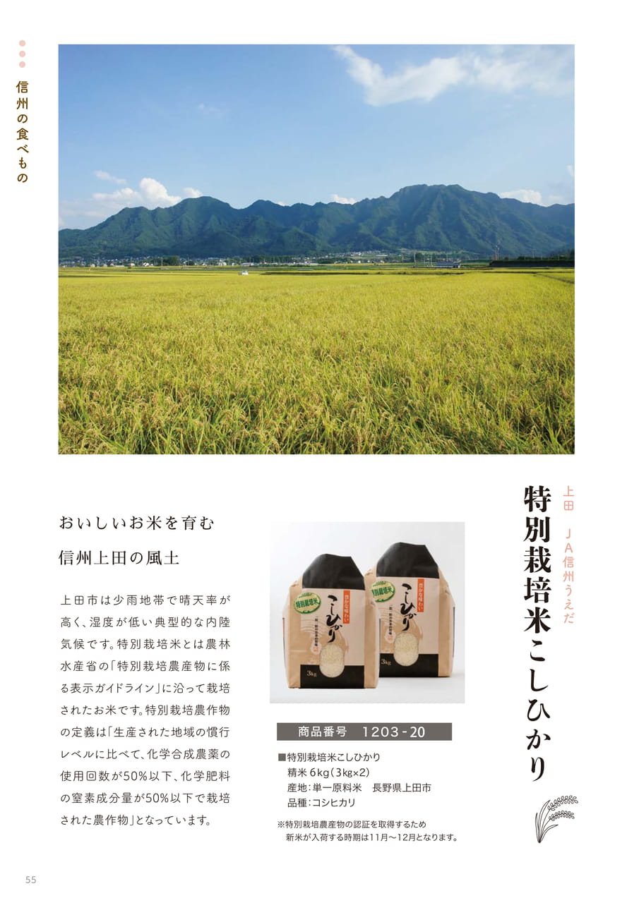 Page 55（55ページ目）