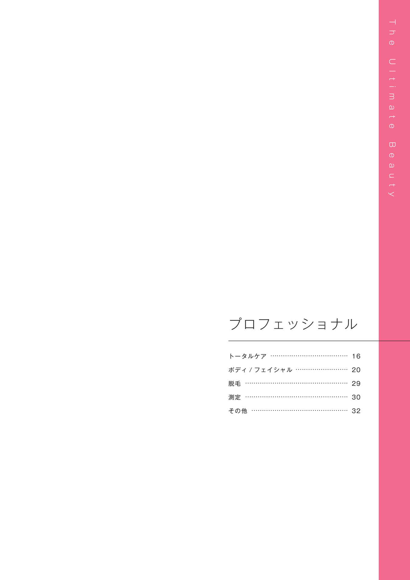 Page (追加)17(17ページ目)