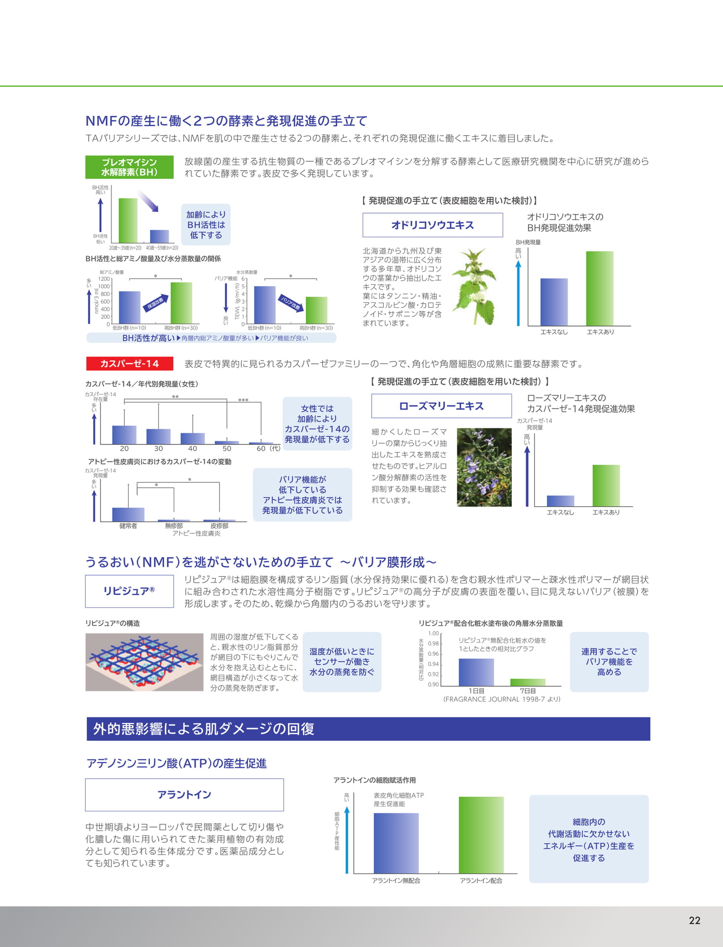 Page 23（23ページ目）