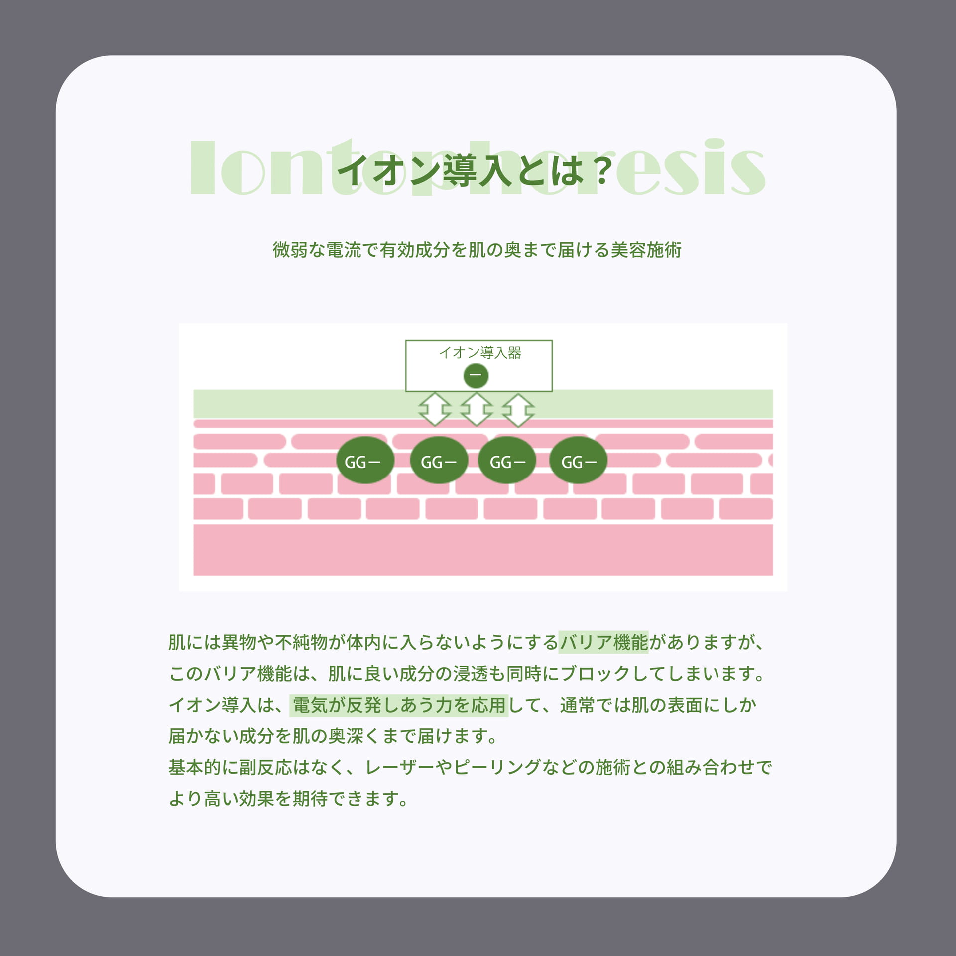 Page 2(1ページ目)
