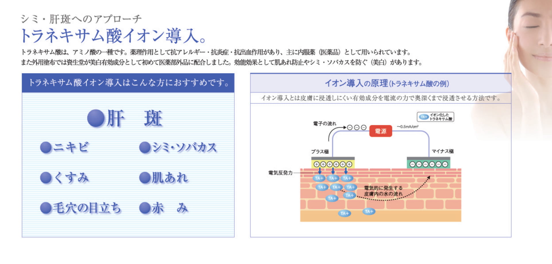 Page 2（2ページ目）