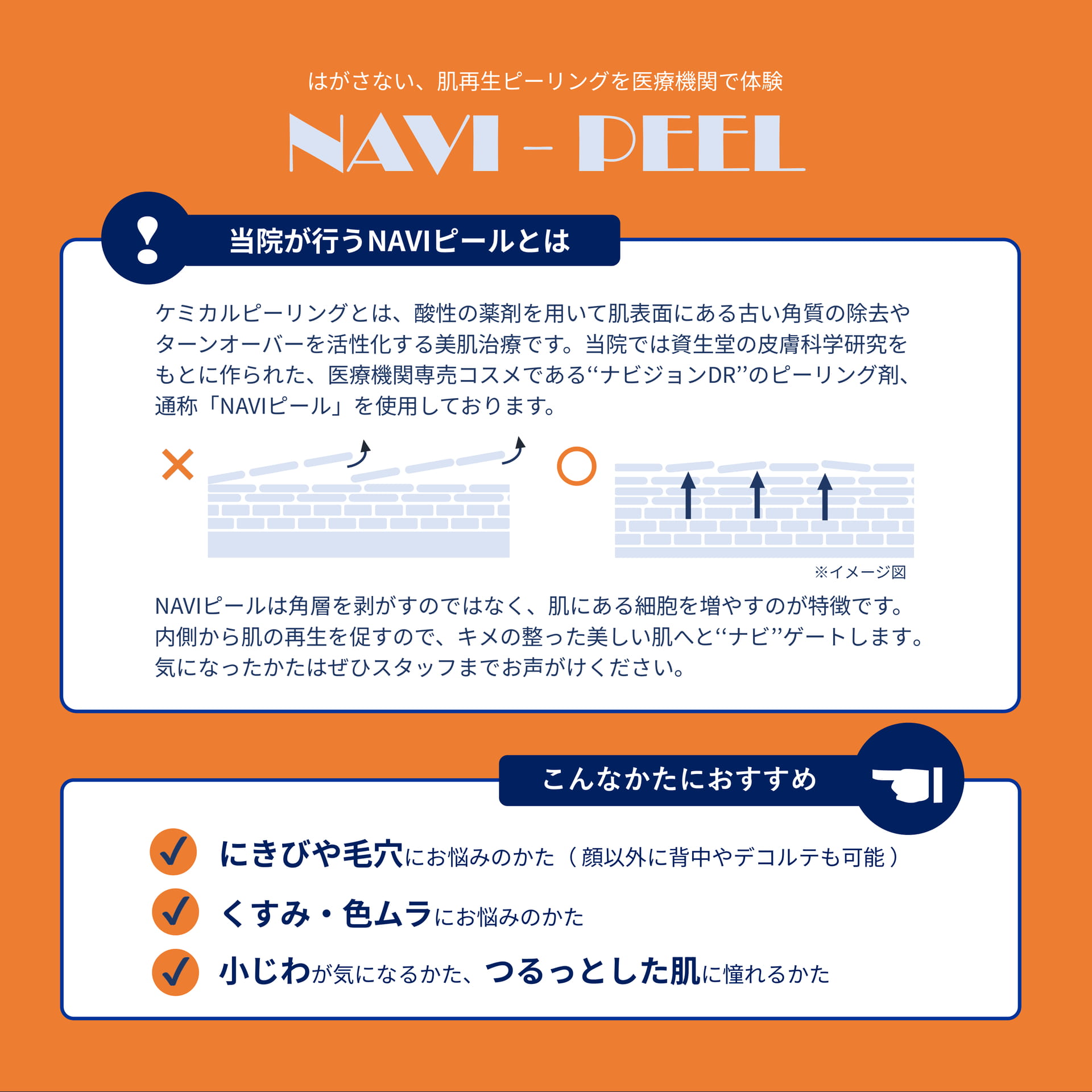 Page 1(1ページ目)