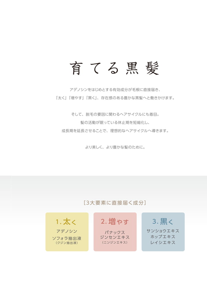 Page 3（3ページ目）