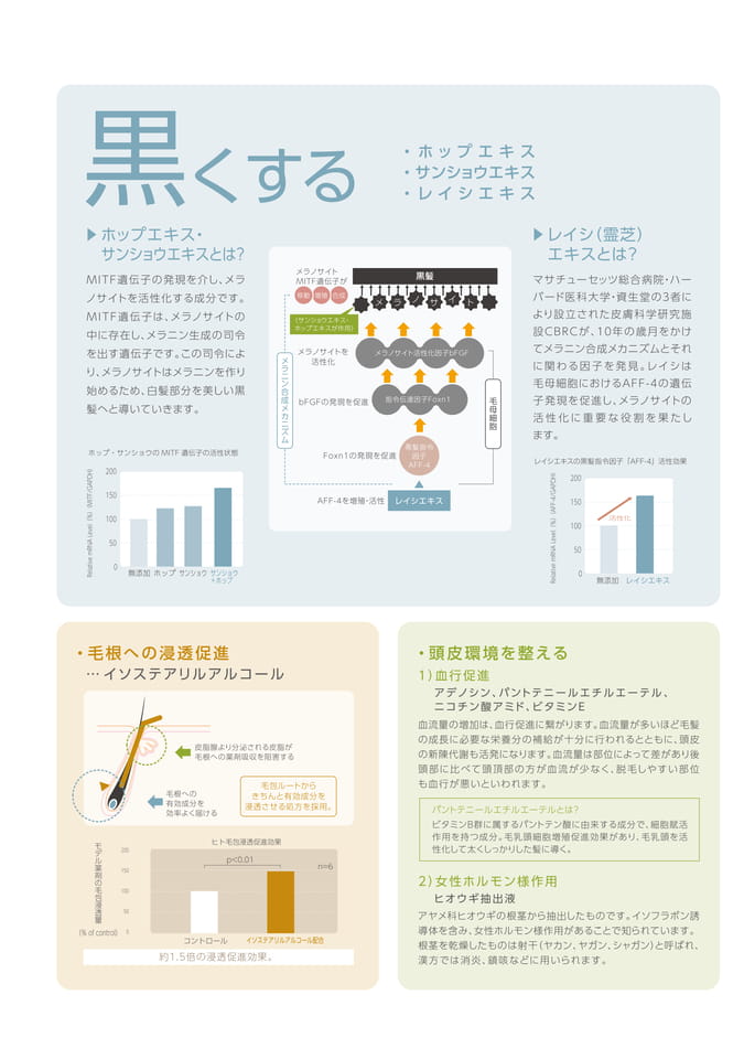 Page 6（6ページ目）
