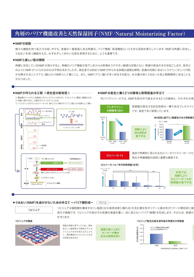 Page 4（4ページ目）
