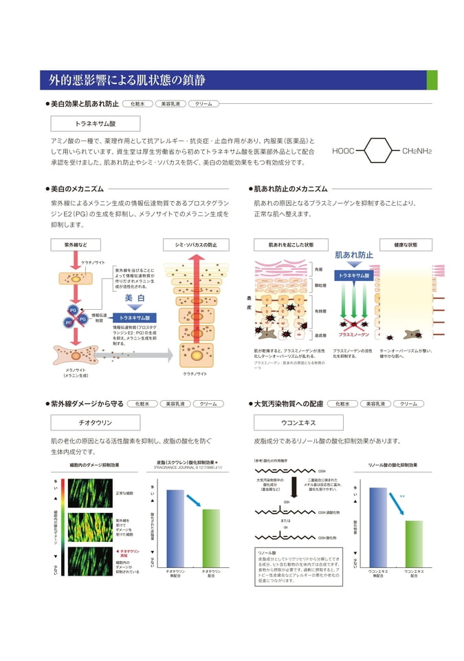 Page 6（6ページ目）