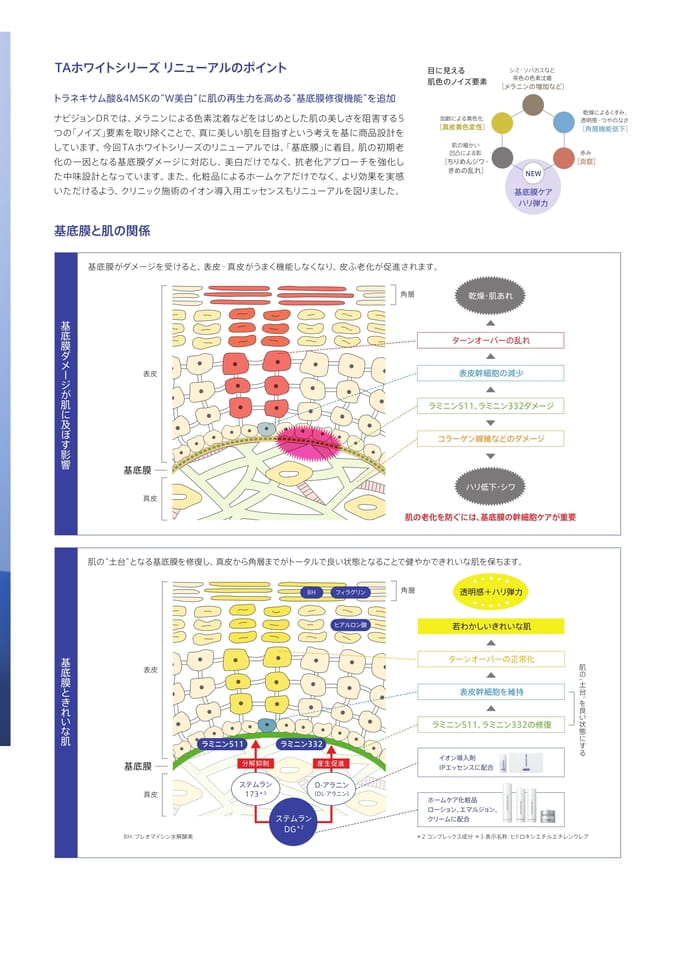 Page 3（3ページ目）