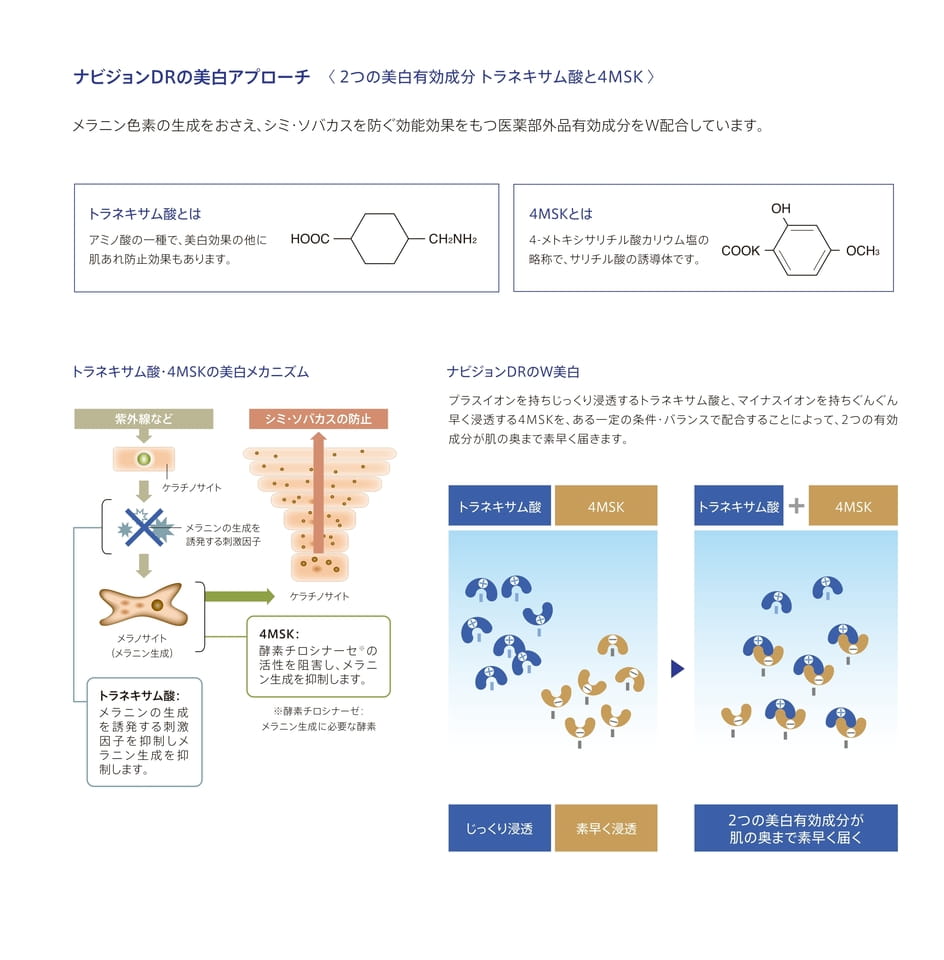 Page 4（4ページ目）