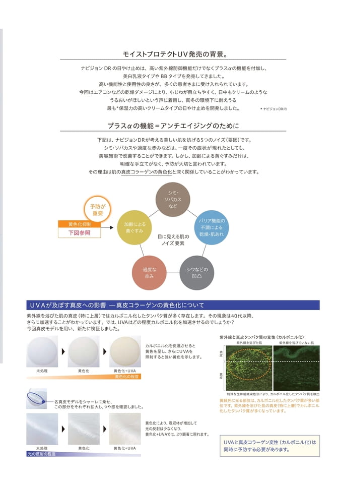 Page 3（3ページ目）