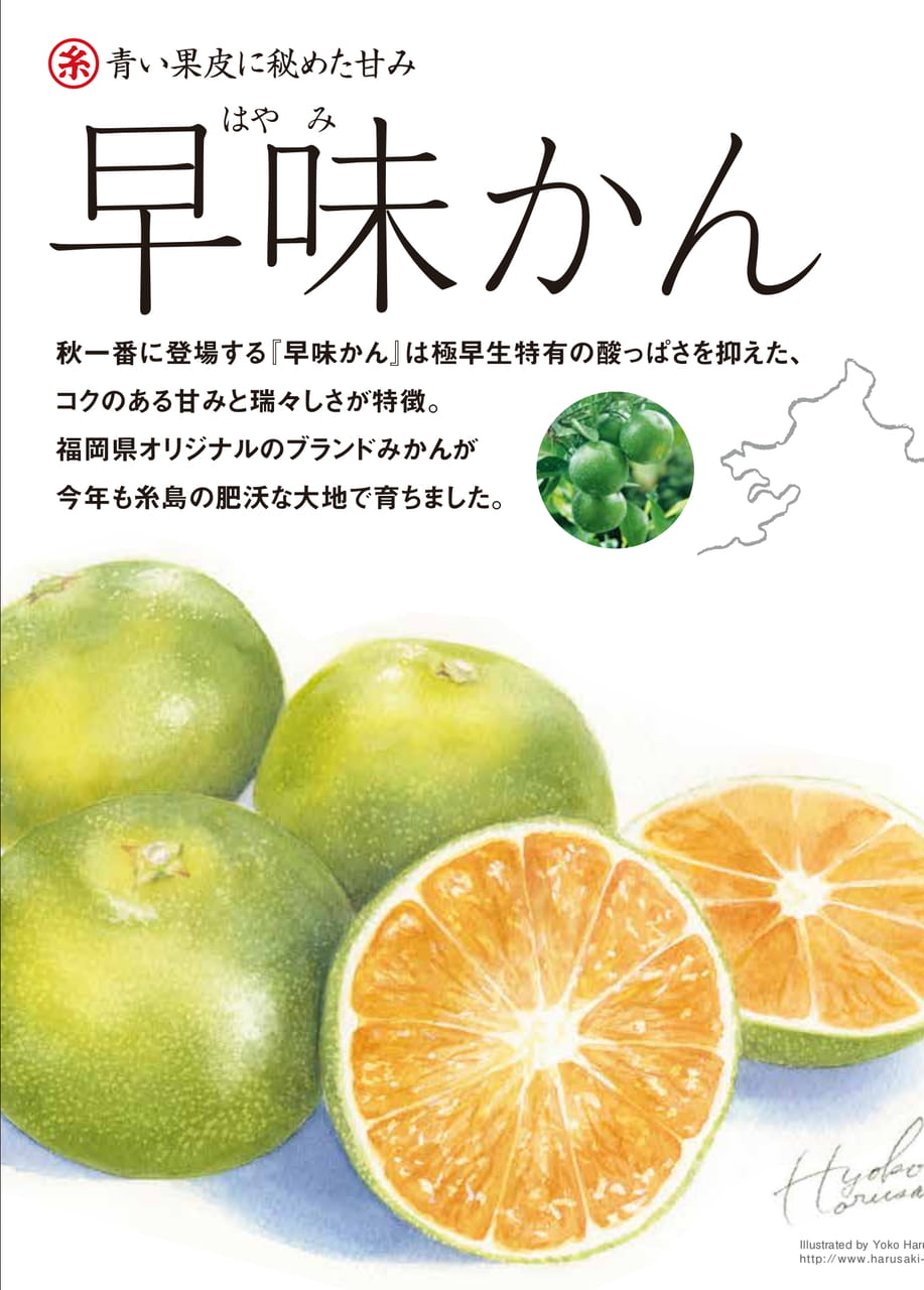 Page 2(2ページ目)