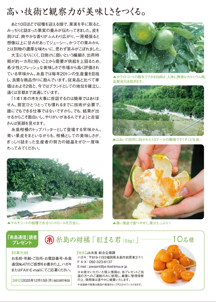 Page 5(5ページ目)