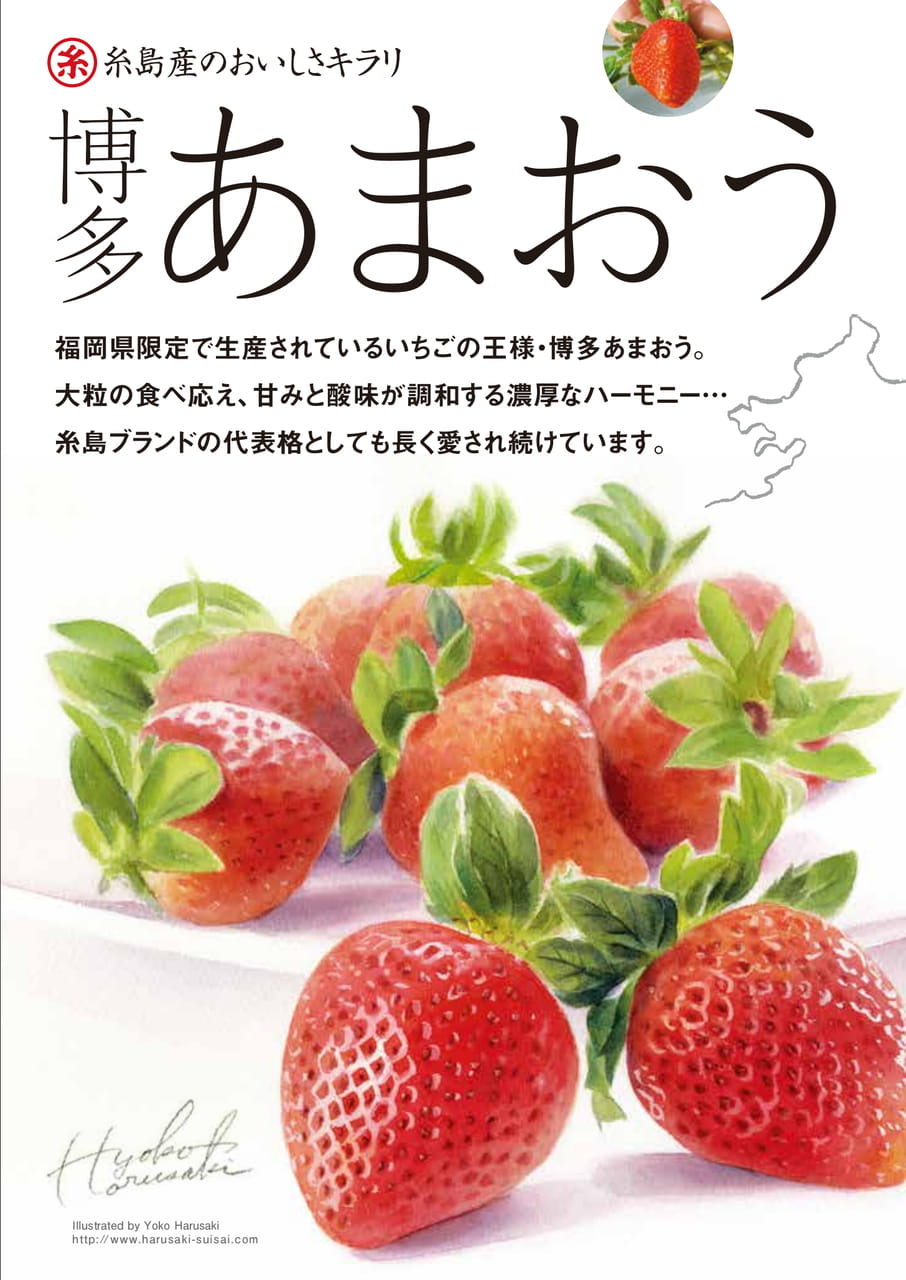 Page 2(2ページ目)